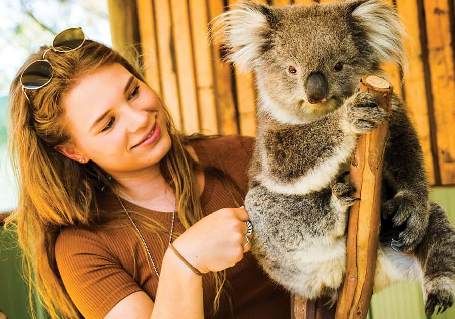 Moonlit Sanctuary Conservation Park Entry Ticket - Koalas, wombats, and paid encounters