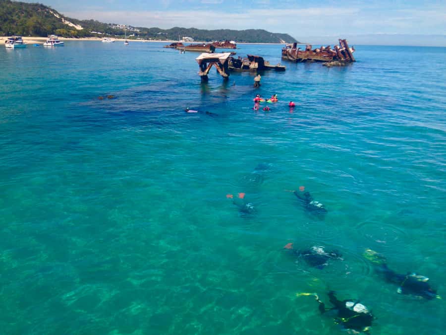 Moreton Island Day-Trip to Scuba Dive and More - Choosing the right scuba session