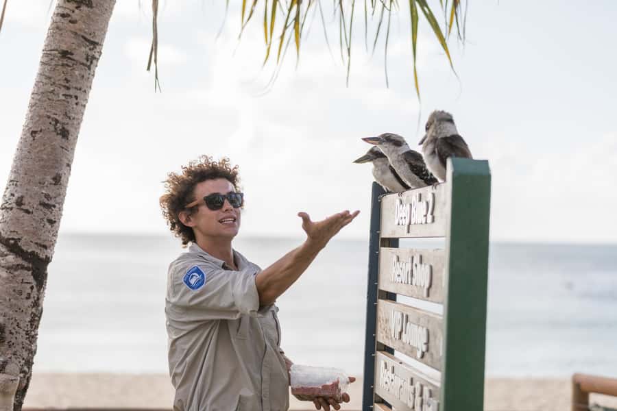 Moreton Island: Desert Safari Tour & Dolphin Viewing - What the $147 price includes