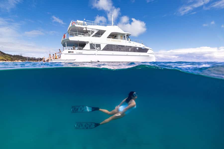 Moreton Island: Dolphin & Tangalooma Wrecks Snorkel Cruise - A buffet lunch with more than a token sandwich