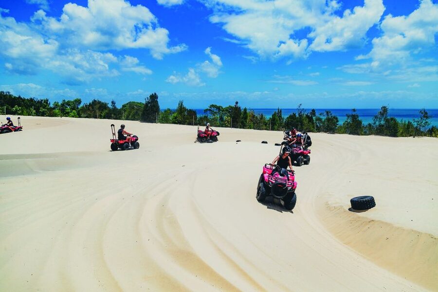 Moreton Island: Tangalooma ATV Quad Bike & Dolphin Feeding - The sunset dolphin encounter