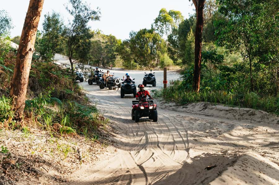 Moreton Island: Tangalooma Day Trip with ATV Quad Bike Tour - Wildlife talks and the 3:15pm dolphin presentation