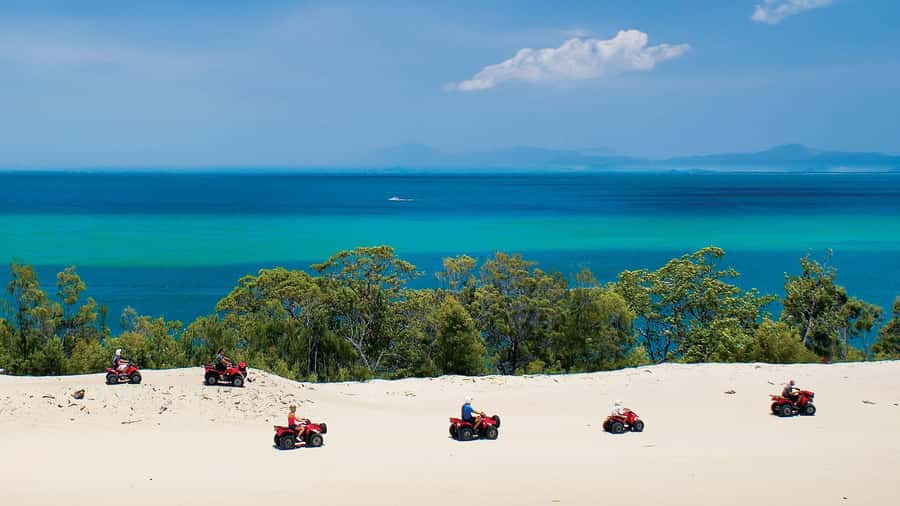 Moreton Island: Tangalooma Day Trip with ATV Quad Bike Tour - Who will enjoy this day most