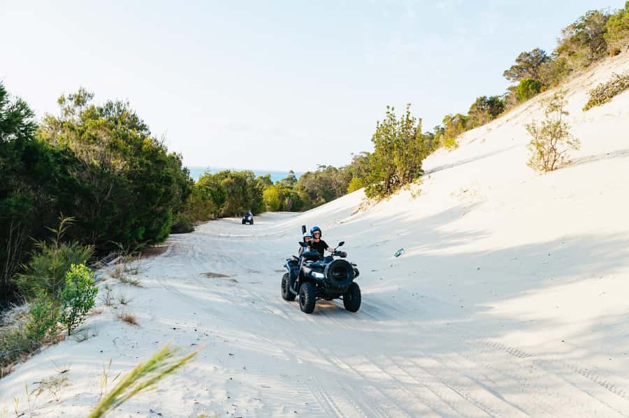 Moreton Island: Tangalooma Day Trip with ATV Quad Bike Tour - Should you book the Tangalooma ATV day trip?