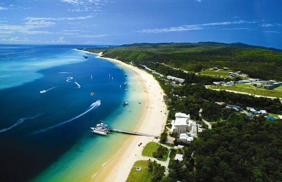 Moreton Island: Tangalooma Day Trip with Desert Safari - The dolphin presentation fills the final hour