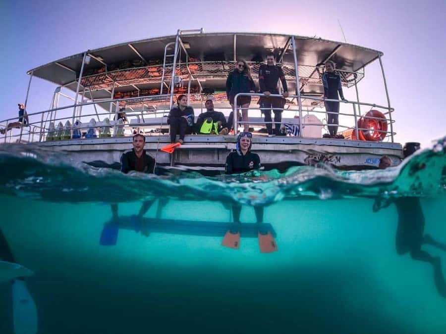 Moreton Island: Tangalooma Day Trip with Snorkeling Tour - Key points to know before you book