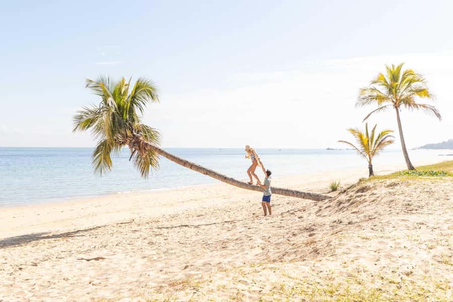 Moreton Island: Tangalooma Day Trip with Snorkeling Tour - Why the short snorkel can still work
