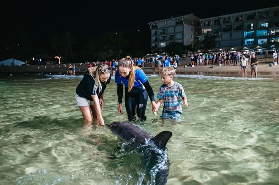 Moreton Island: Tangalooma Desert Safari and Dolphin Feeding - Lunch that gives you choice, not a fixed plate