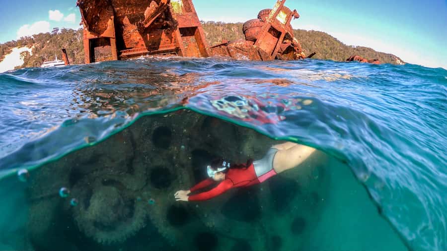 Moreton Island: Tangalooma Snorkeling Tour & Dolphin Feeding - Key points to know before you book