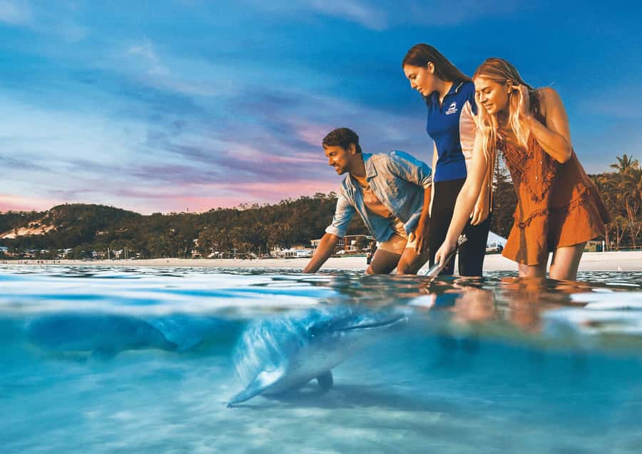 Moreton Island: Tangalooma Snorkeling Tour & Dolphin Feeding - The 75-minute crossing from Brisbane