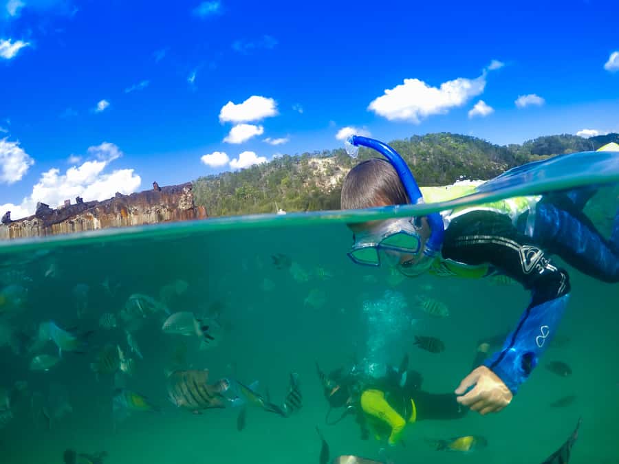 Moreton Island: Tangalooma Snorkeling Tour & Dolphin Feeding - Waiting for the wild dolphins at sunset