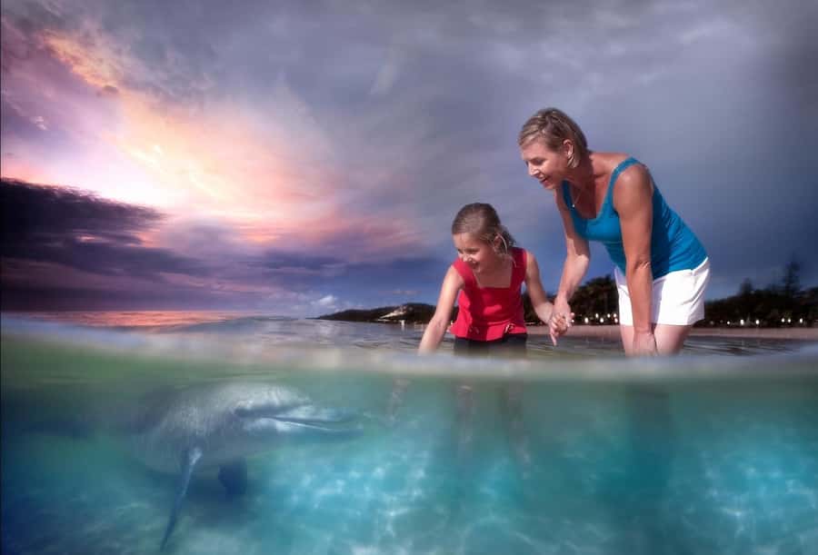 Moreton Island: Tangalooma Snorkeling Tour & Dolphin Feeding - How the timing shapes your day