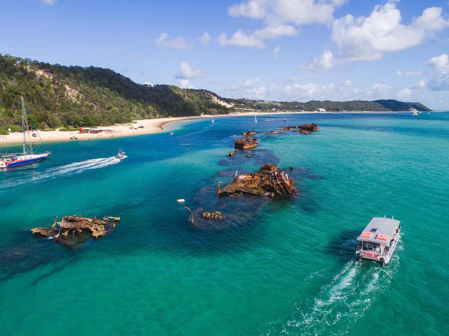 Moreton Island: Tangalooma Snorkeling Tour & Dolphin Feeding - Should you book the Tangalooma snorkeling and dolphin tour?