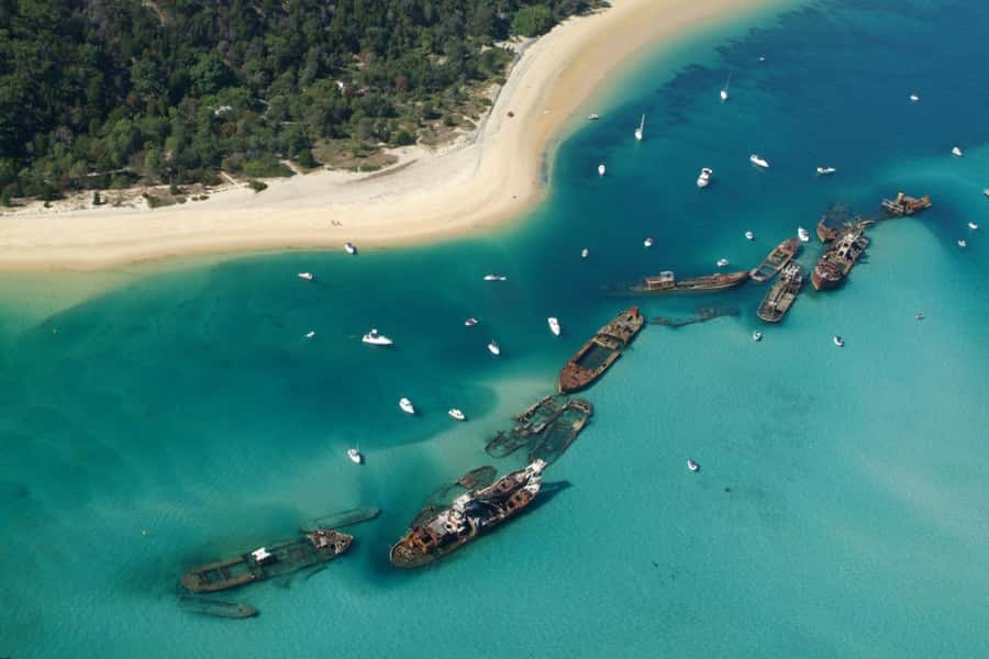 Moreton Island: Tangalooma Snorkelling with Dolphin Viewing - Who should book this Moreton Island day?