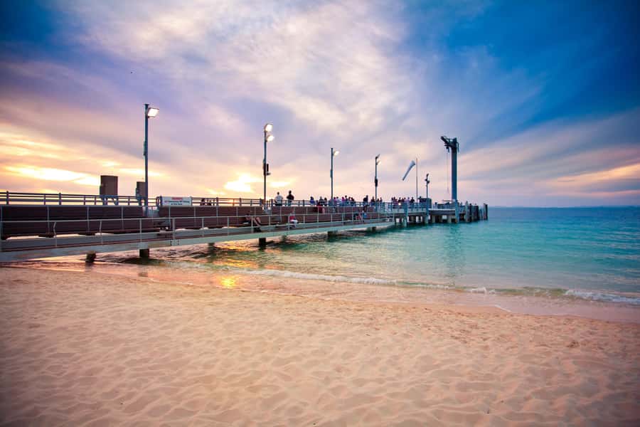 Moreton Island: Tangalooma Whale Watching & Dolphin Feeding - Is $162 good value for a full day?