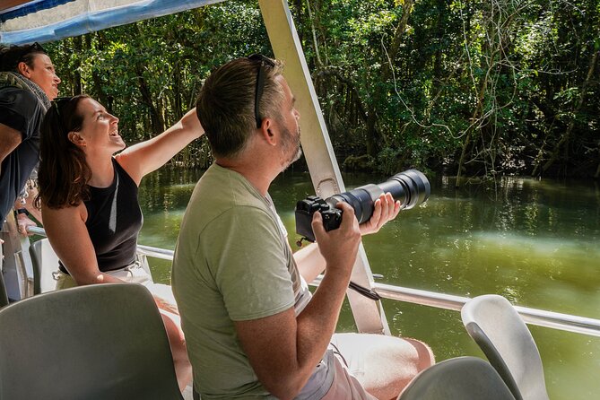 Morning Daintree Tour with River Cruise from Port Douglas - Who should book this tour?