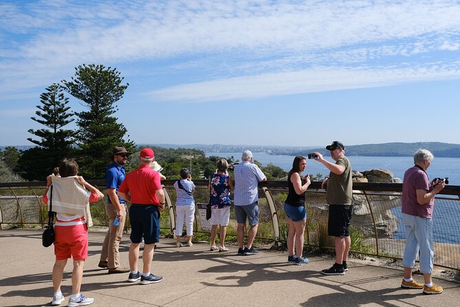Morning or Afternoon Half-Day Sydney City Sightseeing Tour - Watsons Bay and The Gap