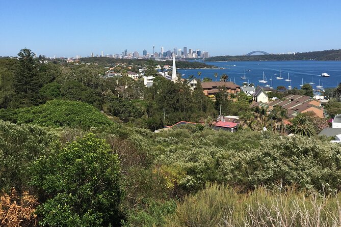 Morning or Afternoon Half-Day Sydney City Sightseeing Tour - Centennial Park, Paddington, and Chinatown