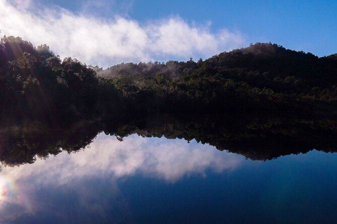 Morning World Heritage Cruise on the Gordon River from Strahan - Lunch while the Gordon River grows quieter