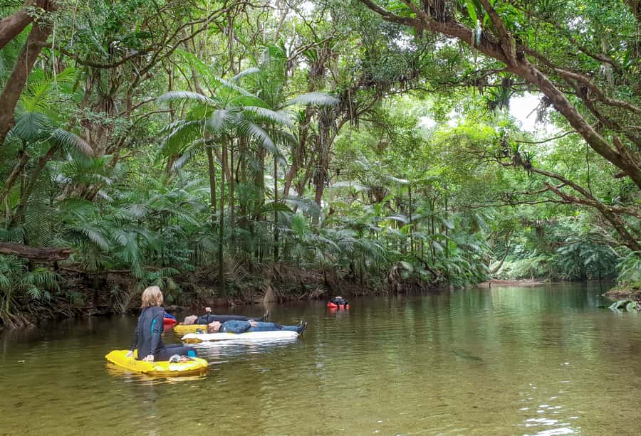 Mossman Gorge: Day Tour with River Drift Experience - What to bring and what to leave behind