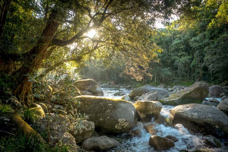 Mossman Gorge: Day Tour with River Drift Experience - Why this Mossman Gorge day is different