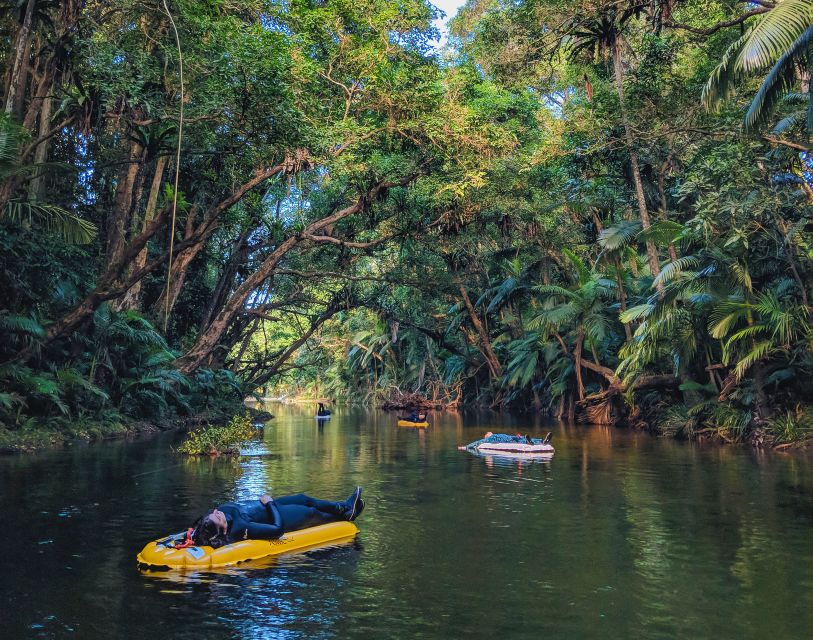 Mossman Gorge: Day Tour with River Drift Experience - What the $191 price includes