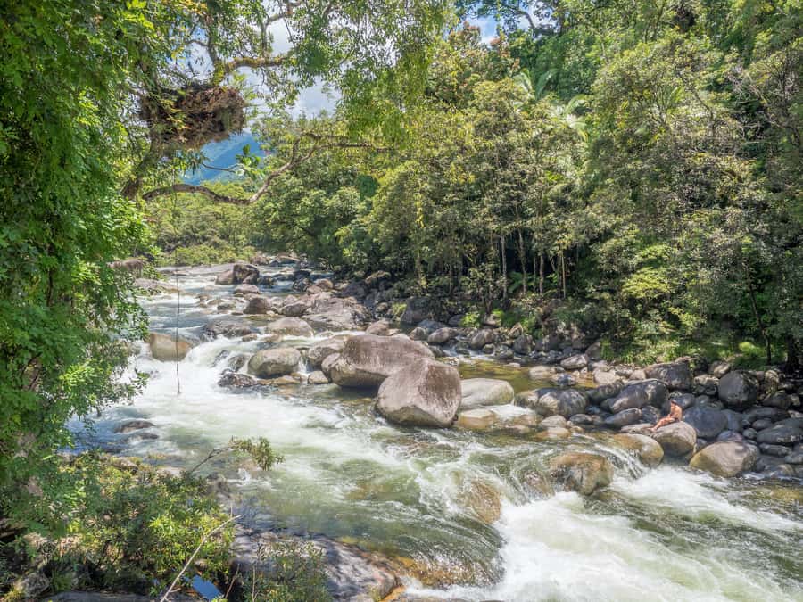 Mossman Gorge: Day Tour with River Drift Experience - Starting in Port Douglas or Mossman