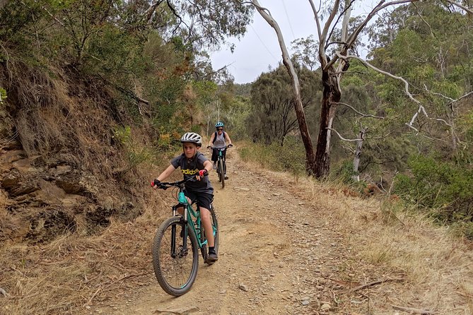 Mount Lofty Descent Bike Tour from Adelaide - Ninety minutes at Cleland Wildlife Park