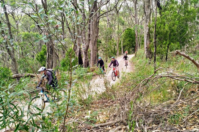 Mount Lofty Descent Bike Tour from Adelaide - The final ride into Adelaide suburbs