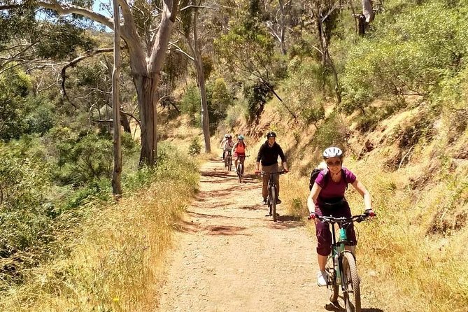 Mount Lofty Descent Bike Tour from Adelaide - Cleland Conservation Park brings the bush close