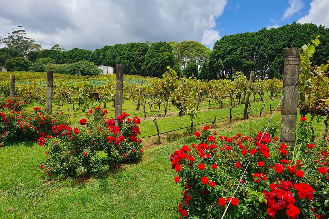 Mount Tamborine Wine Tasting Tour from Brisbane or the Gold Coast - Winery tastings: expect variety, not a single style