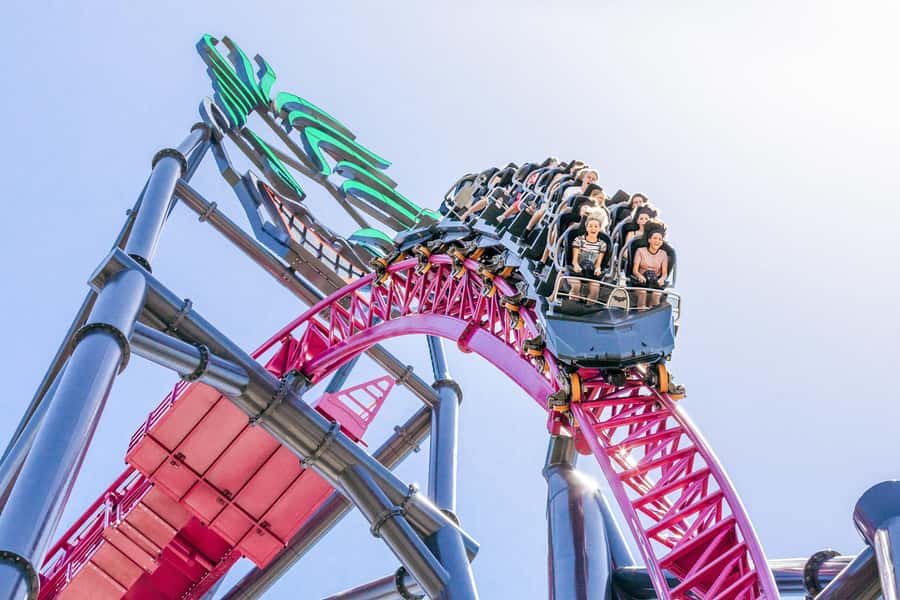 Movie World, Sea World, Wet’n’Wild & More - 5 Day Pass - Sea World: marine life, shows, and easier family pacing