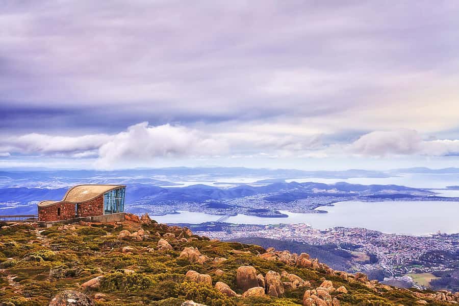 Mt Wellington: Ultimate Experience from Hobart - Who should book this Mt Wellington trip?