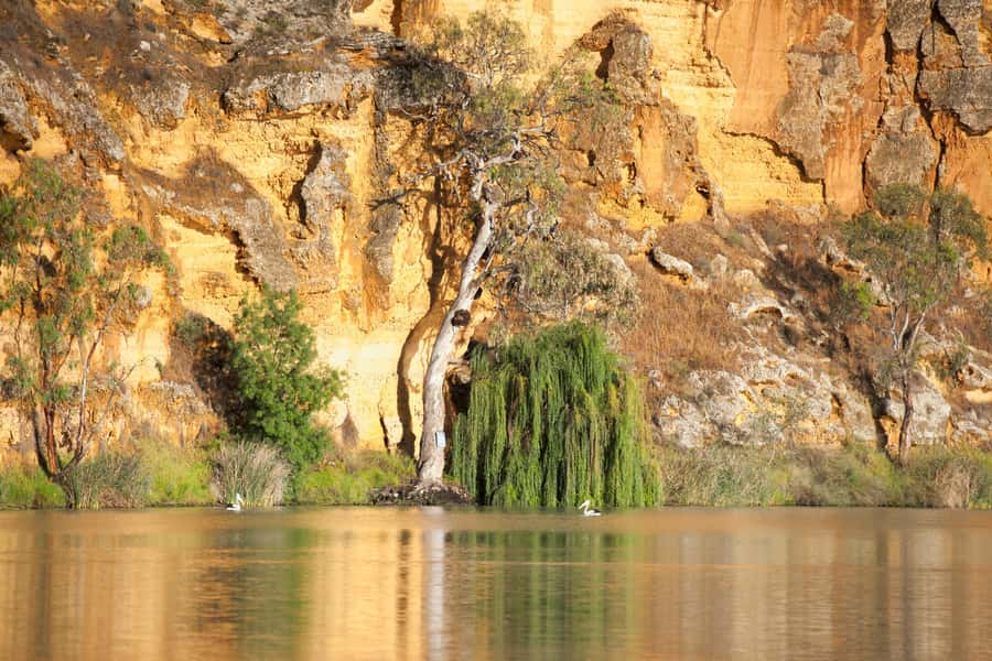 Murray River Highlights and Luncheon Cruise - Boarding the Proud Mary at the Murray River