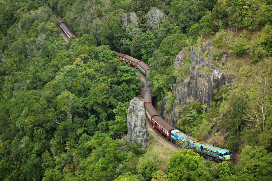 N. Queensland: Kuranda Rainforest Full-Day Tour - Key points to know before booking