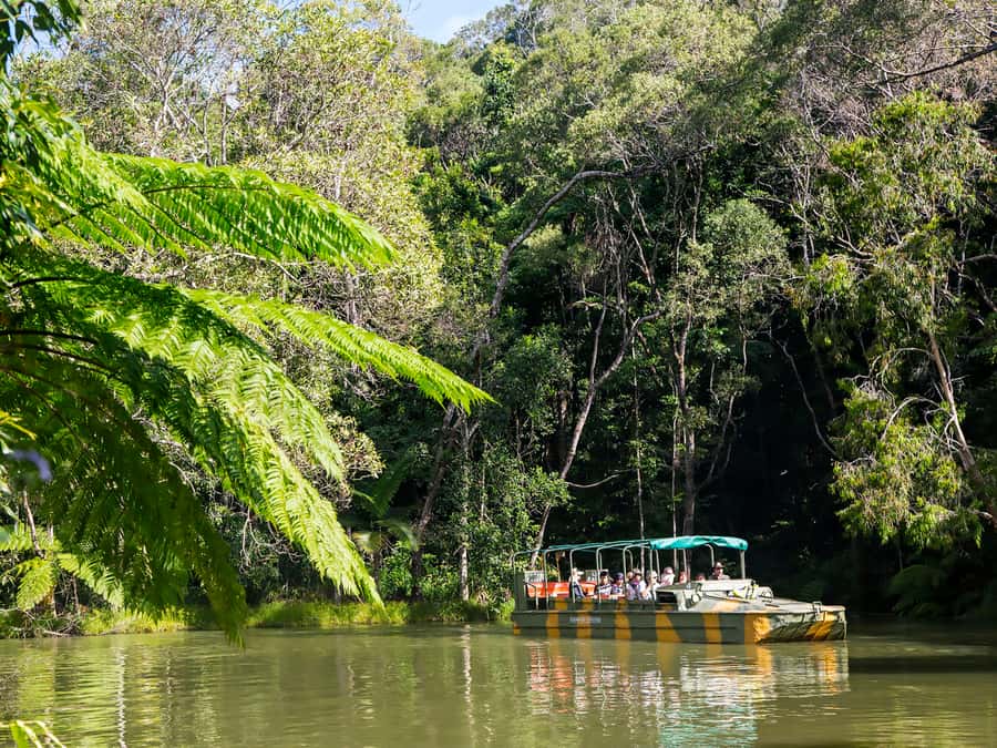 N. Queensland: Kuranda Rainforest Full-Day Tour - Why this Kuranda day trip works so well