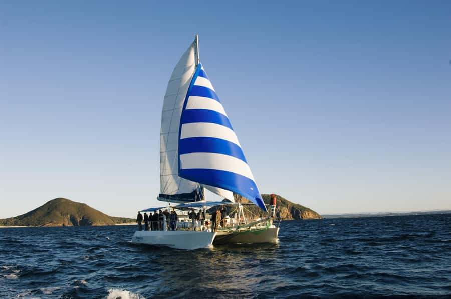 Nelson Bay: Dolphin Watch Cruise and Sail - From d’Albora Marina to open water