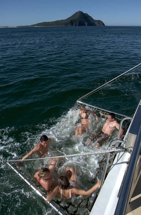 Nelson Bay: Dolphin Watch Cruise and Sail - A friendly crew and a lively atmosphere