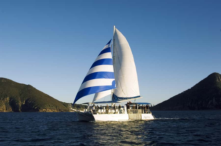 Nelson Bay: Dolphin Watch Cruise and Sail - Practical tips for a smoother outing