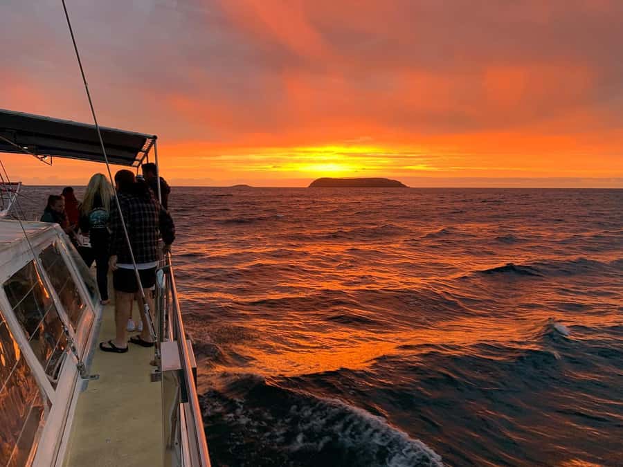 Nelson Bay: Whale and Dolphin Watching Catamaran Cruise - What the price includes at $63