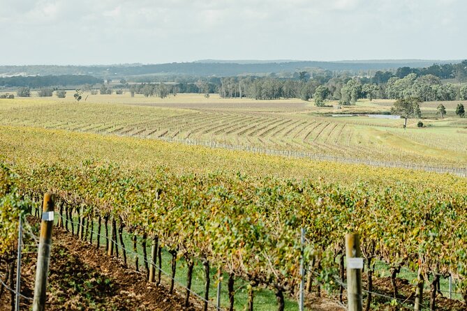 Newcastle: Boutique Hunter Valley Wine Tour - Bonvilla Estate brings the boutique side