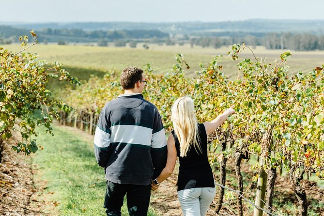Newcastle: Boutique Hunter Valley Wine Tour - Pickup from Newcastle and the one-hour ride north