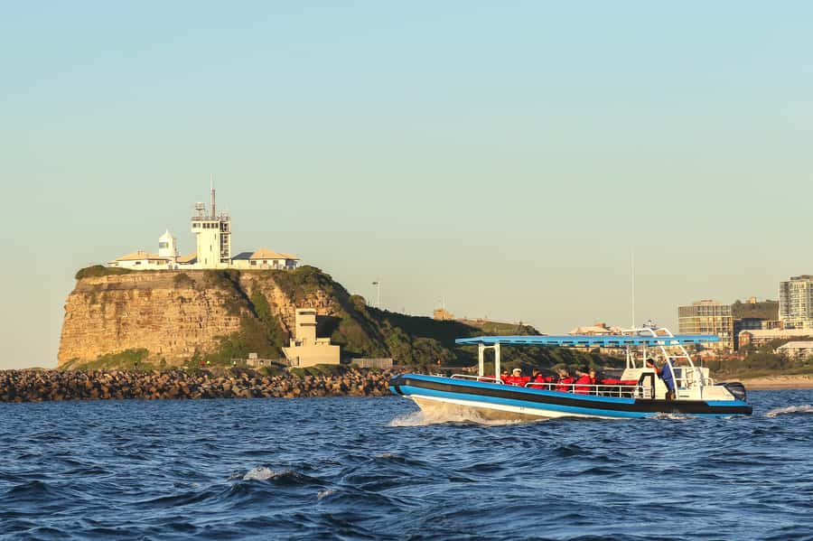 Newcastle: Small Group Humpback Whale Encounter Tour - Guides who make the trip more than a boat ride