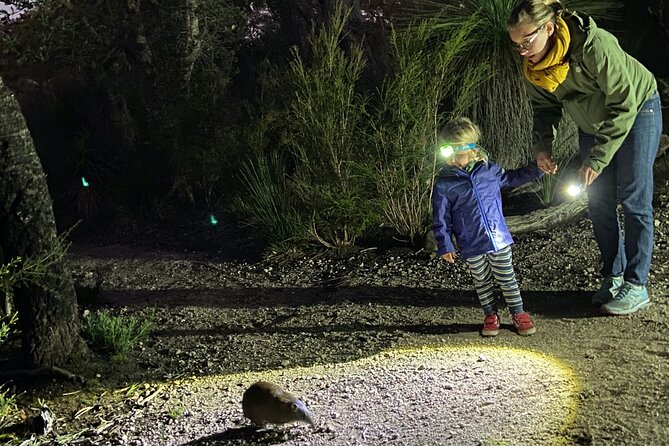 Nocturnal Wildlife Tour from Busselton - What makes this night tour worth your evening