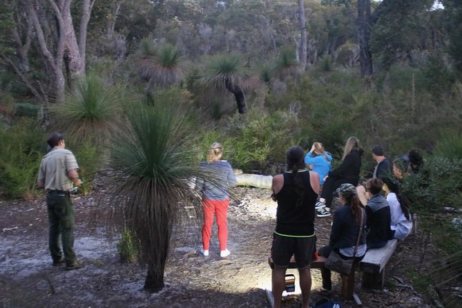 Nocturnal Wildlife Tour from Busselton - Sitting quietly while the bush comes alive