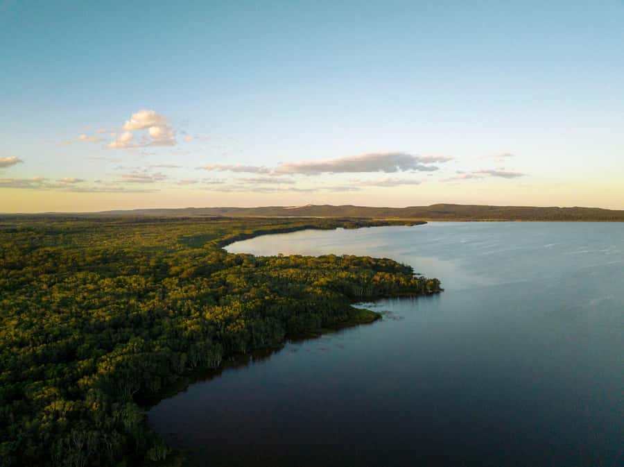 Noosa: Afternoon Cruise through the Noosa Everglades - What the boat ride is actually like