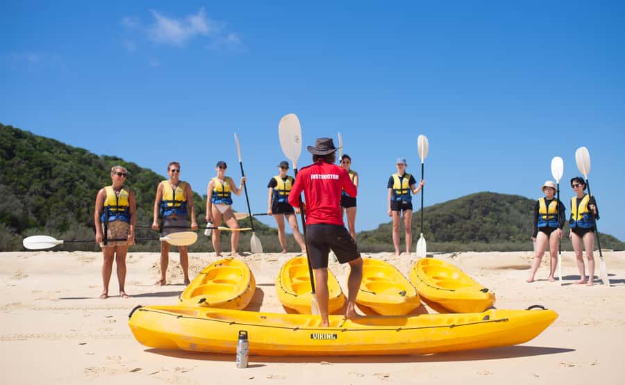 Noosa: Epic Ocean Kayak with Dolphins & 4WD Beach Adventure - Key points to know before you book