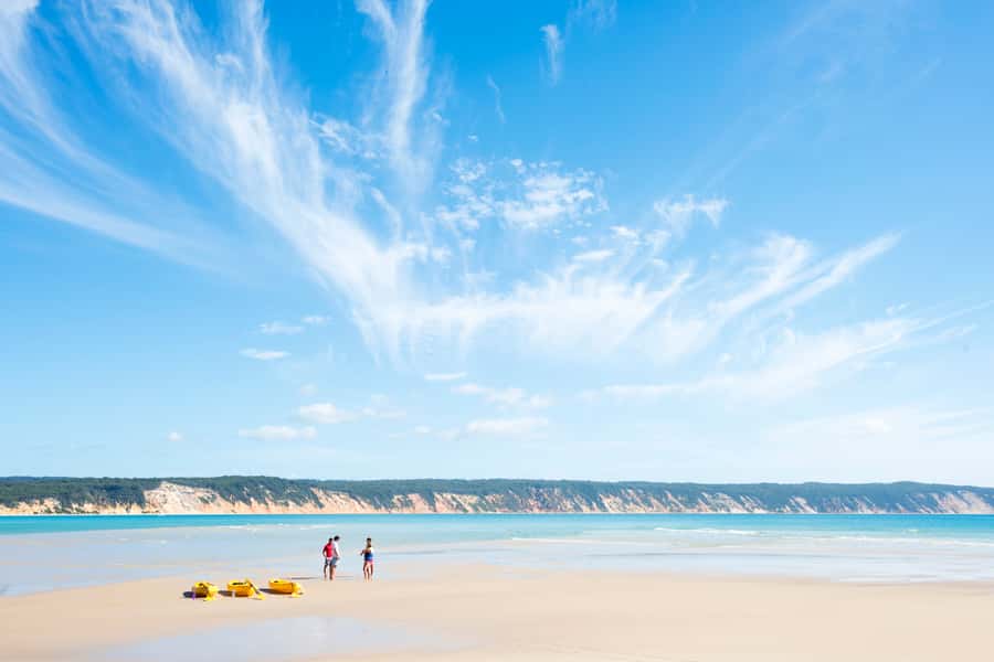 Noosa: Epic Ocean Kayak with Dolphins & 4WD Beach Adventure - Who will enjoy this most?