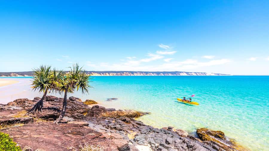 Noosa: Epic Ocean Kayak with Dolphins & 4WD Beach Adventure - Launching near Honeymoon Bay