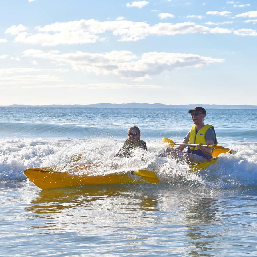 Noosa: Epic Ocean Kayak with Dolphins & 4WD Beach Adventure - Wildlife from a respectful distance
